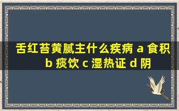 舌红苔黄腻主什么疾病 a 食积 b 痰饮 c 湿热证 d 阴虚